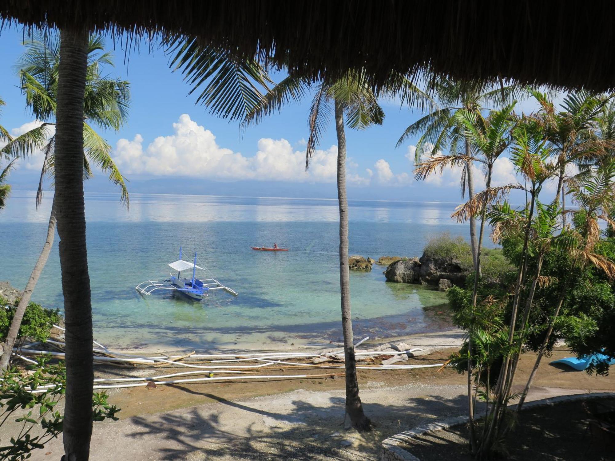 The Wild Orchid Resort - Moalboal Exterior photo