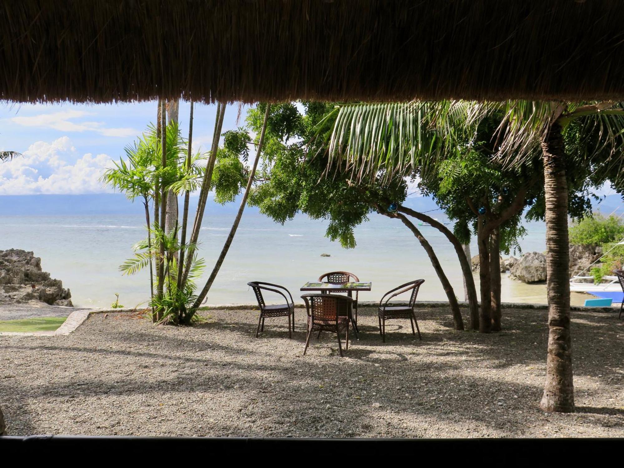 The Wild Orchid Resort - Moalboal Exterior photo