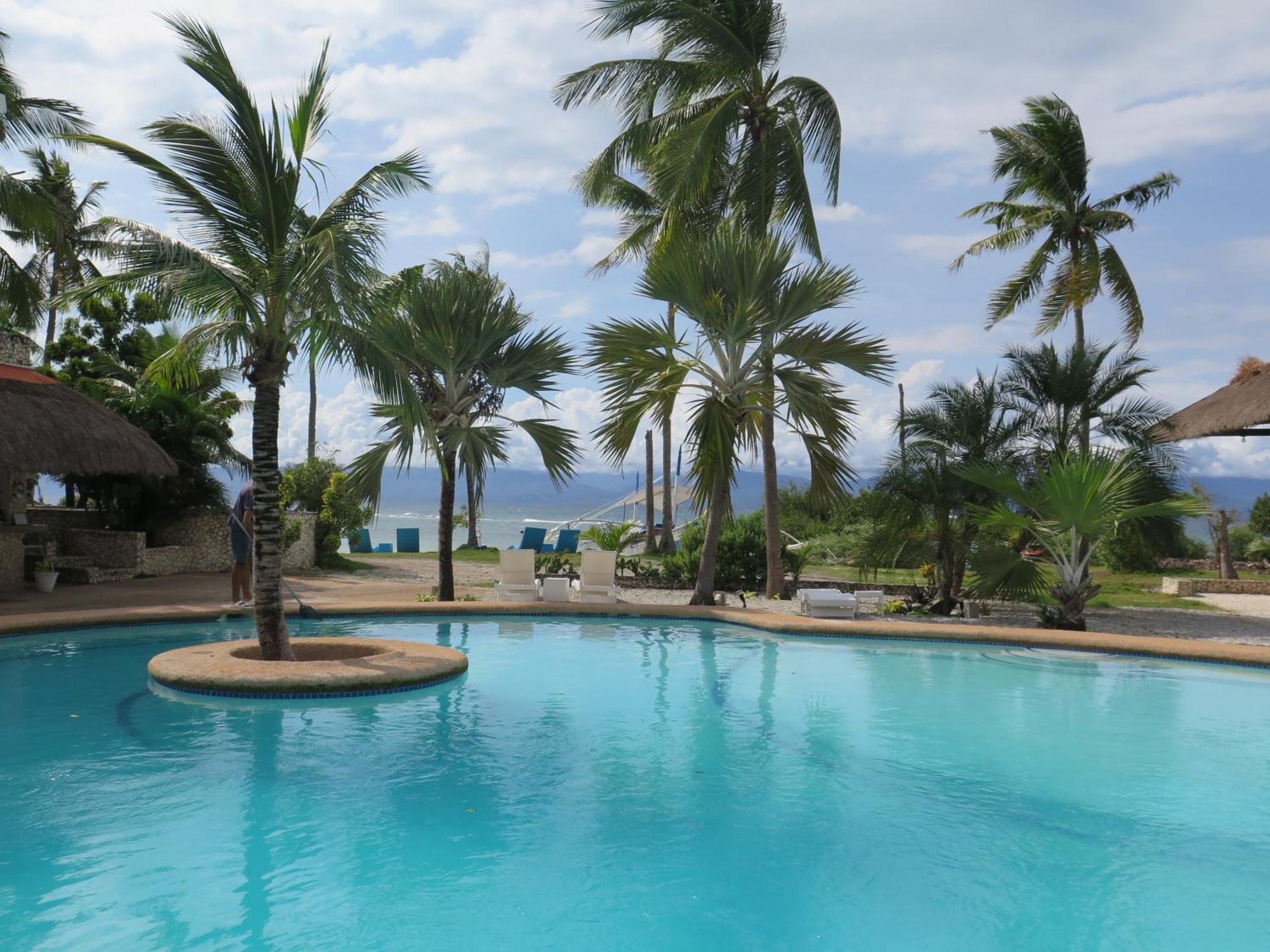 The Wild Orchid Resort - Moalboal Exterior photo