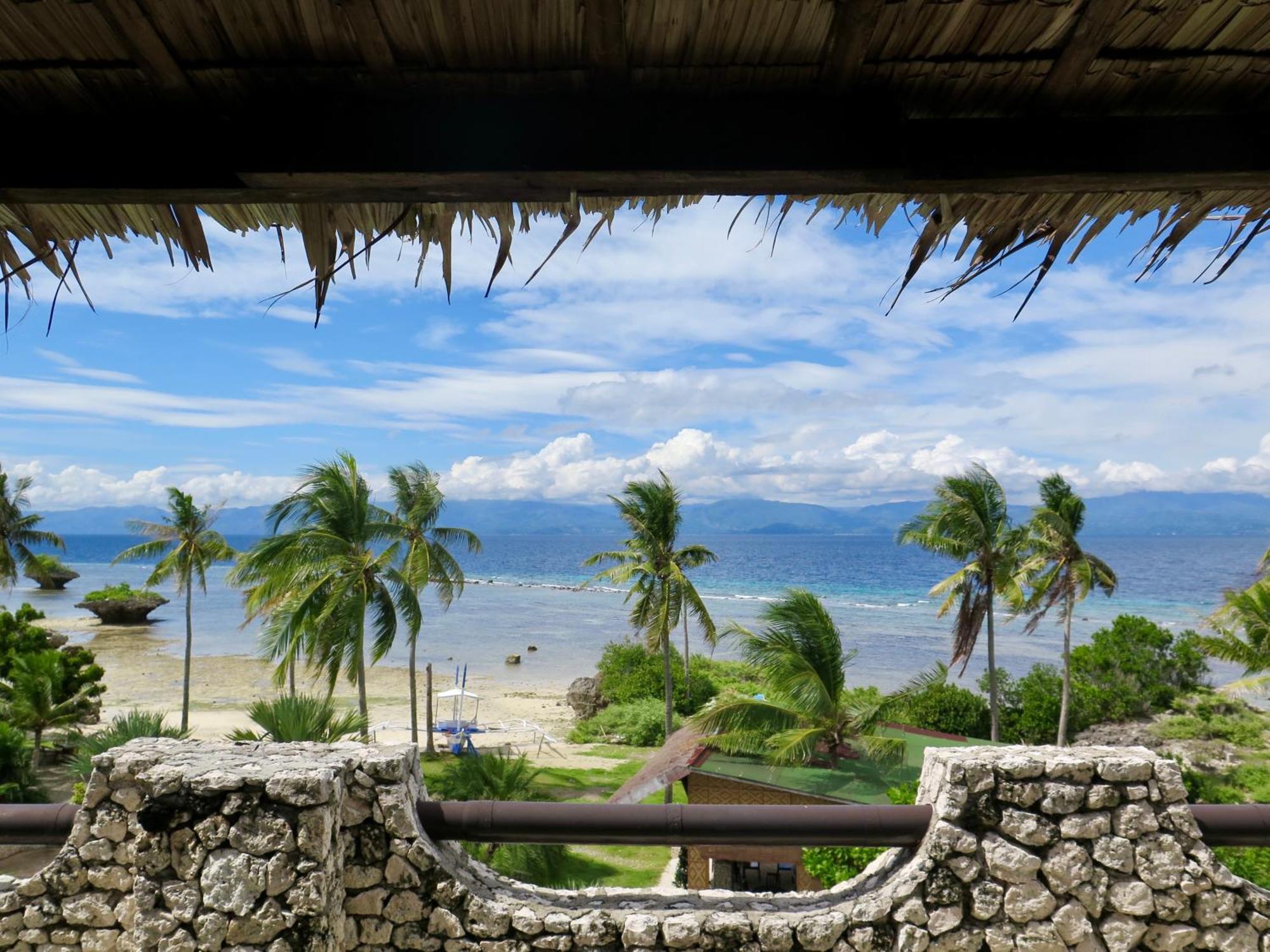 The Wild Orchid Resort - Moalboal Exterior photo